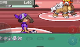 口袋妖怪漆黑魅影视频